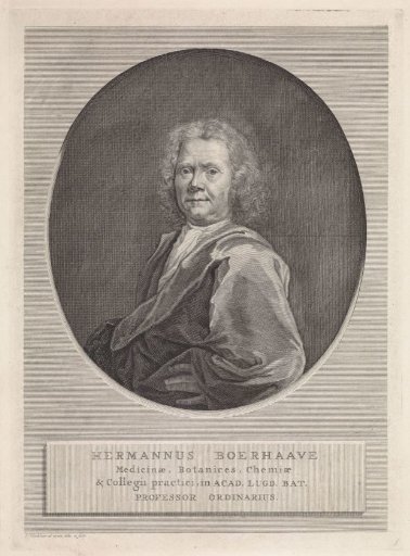 Portrait of Hermanus Boerhaave