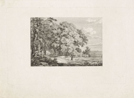 Traveller on a Forest Path