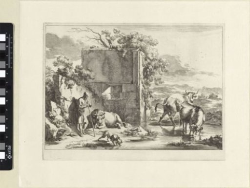 Old shepherd leaning on his staff