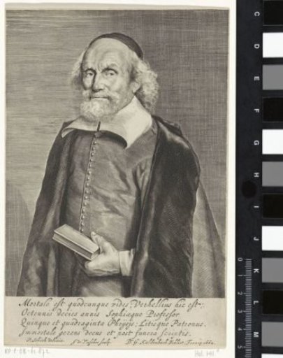 Portrait of Arnold Verhellius