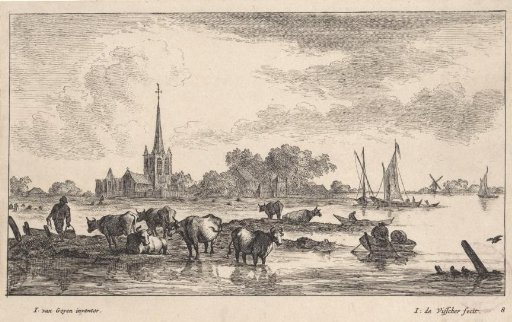 Grazing cows in the river meadows