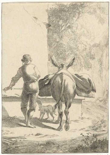 Donkey at a water trough