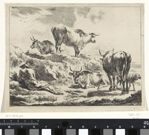 Resting Shepherd Among His Cattle