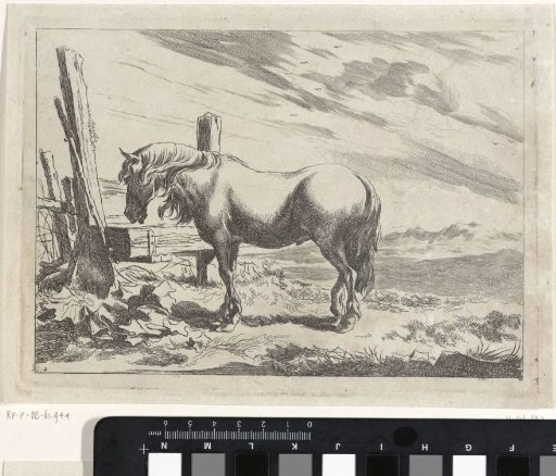 Hilly Landscape with a Horse at a Trough