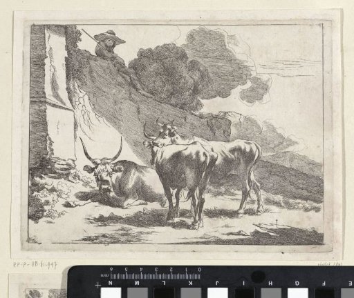 Young Shepherd on a Wall
