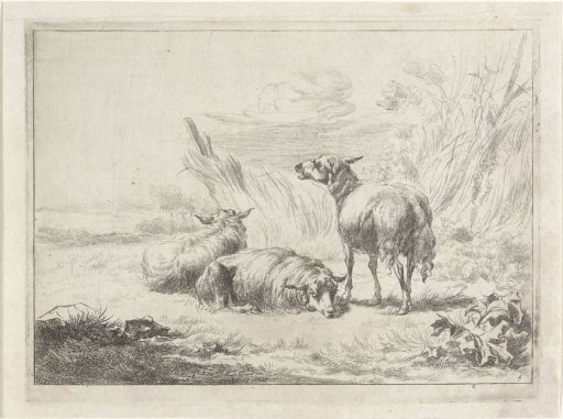 Three Sheep in a Landscape