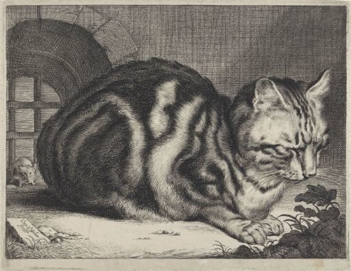 The Large Cat