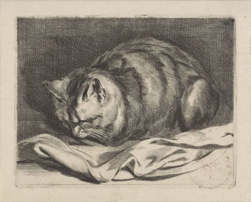 The Small Cat