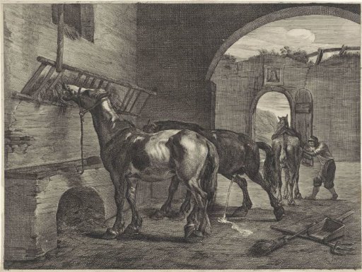 Stable