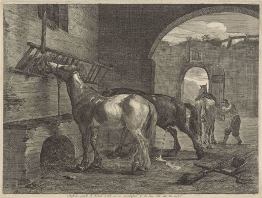 Stable