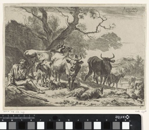 Rustende oude herder met zijn kudde