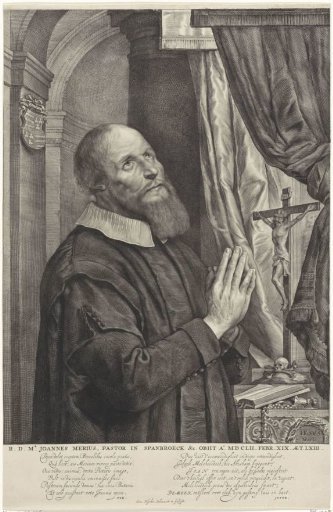 Portrait of Joannes van der Meer