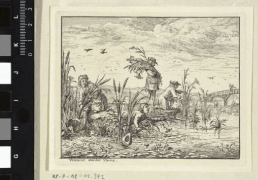 Reed-gatherer Falling into the Water