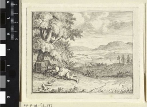 Sleeping Traveller and a Snake