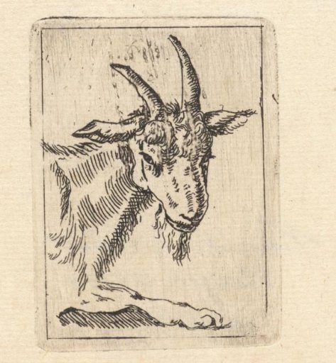 Head of a goat
