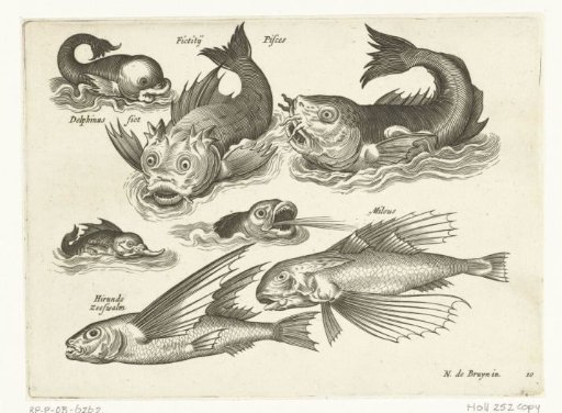 Fantastic water creatures, including dolphin and pufferfish