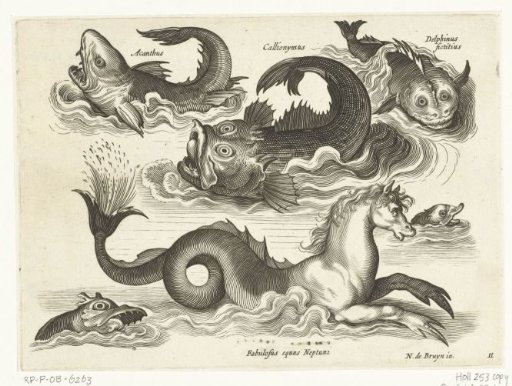 Fantastic water creatures, including seahorse