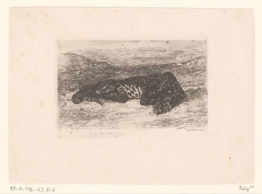 Lying Tiger in the Desert