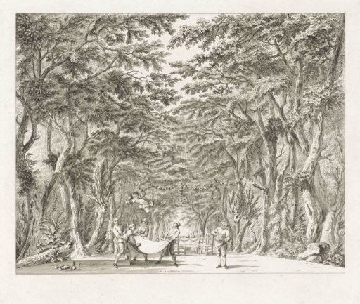 Scene: The Forest