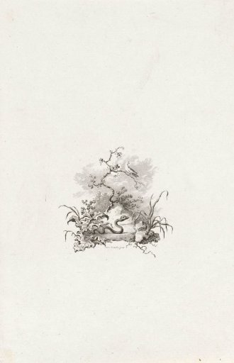 Serpent and Dove in the Desert