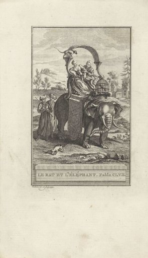 The Elephant and the Rat