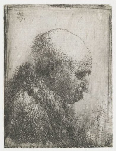 Bald-headed Man in Profile