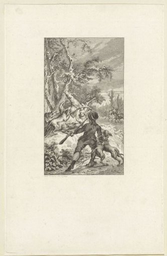Dogs hunting and attacking a stag