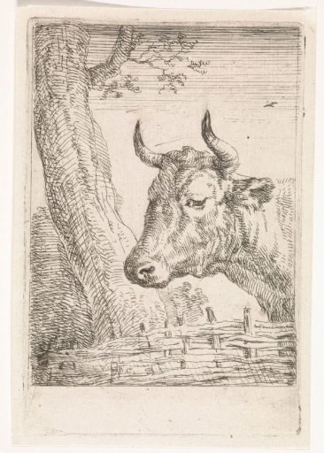 Head of a cow