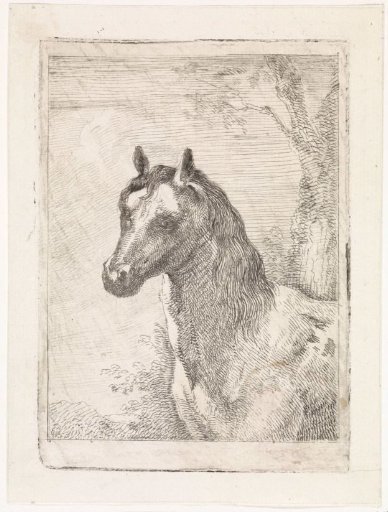 Head of a horse