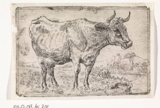 Cow on the bank of a river