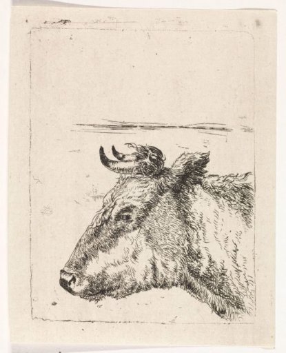 Head of a cow
