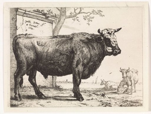 Bull