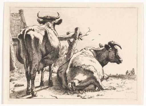 Two cows seen from behind