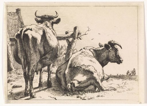 Two cows seen from behind