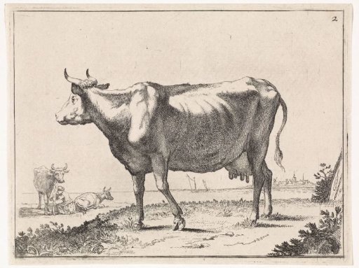 Milking cow