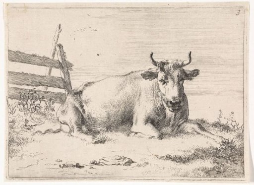 Lying cow by a fence