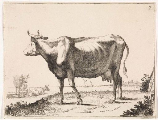 Milking cow