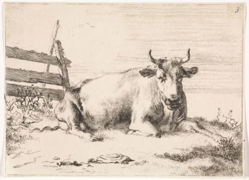 Lying cow by a fence