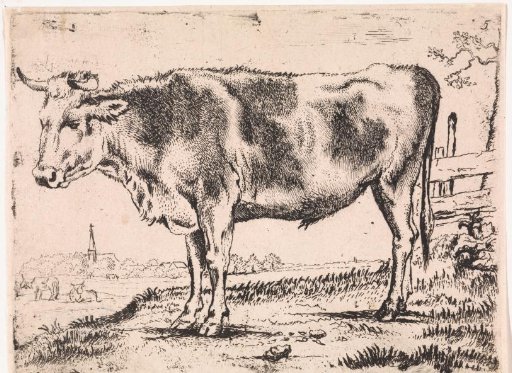 Standing ox, facing left