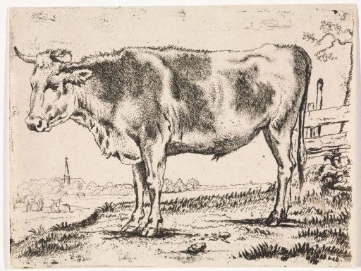 Standing ox, facing left