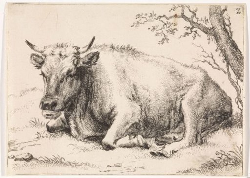 Lying cow