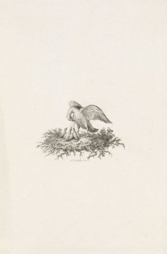 Vignette with a Pelican Piercing Its Breast