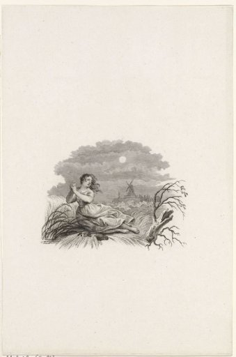 Title page for: S. van Hoek 'Natural and Historical Description of the Terrible Flood', 1808