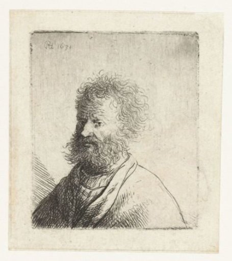 Man with square beard and curly hair: bust