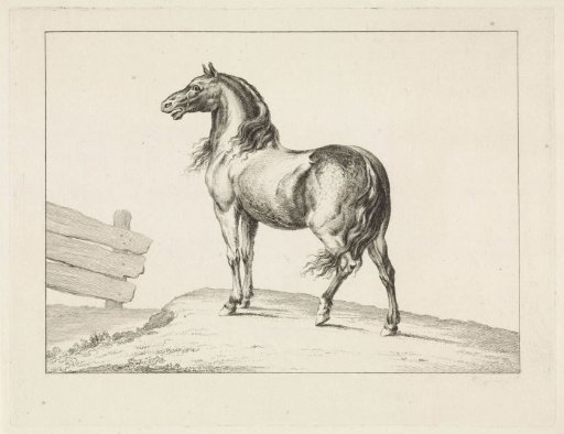 Neighing horse
