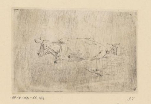 Reclining Cow and a Goat