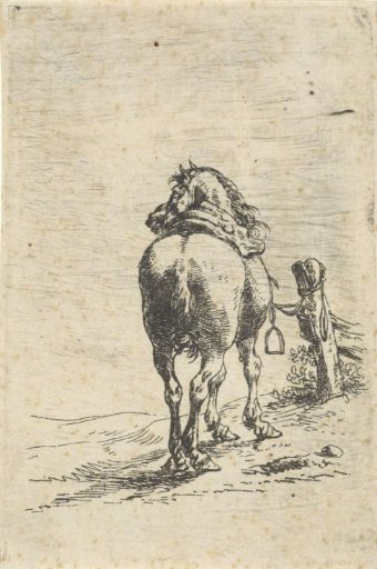 Saddled Horse Tied to a Post