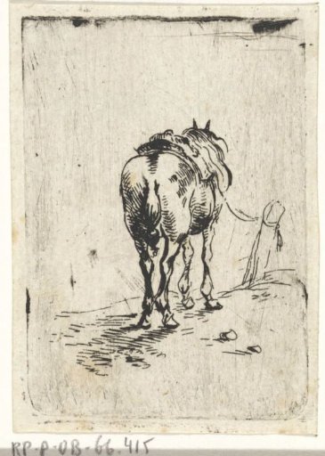 Saddled Horse Seen from Behind