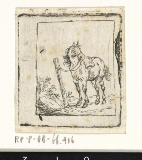 Standing Horse Facing Left
