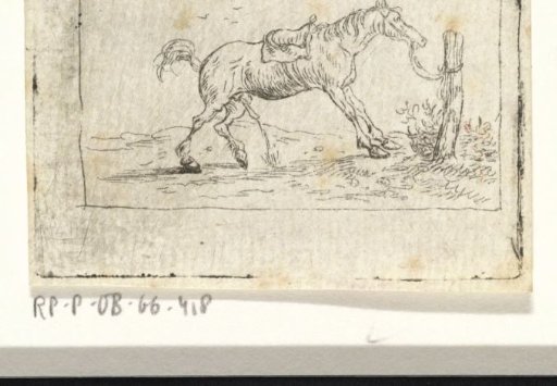 Standing Horse Facing Right